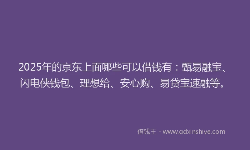 2025年的京东上面哪些可以借钱有：甄易融宝、闪电侠钱包、理想给、安心购、易贷宝速融等。