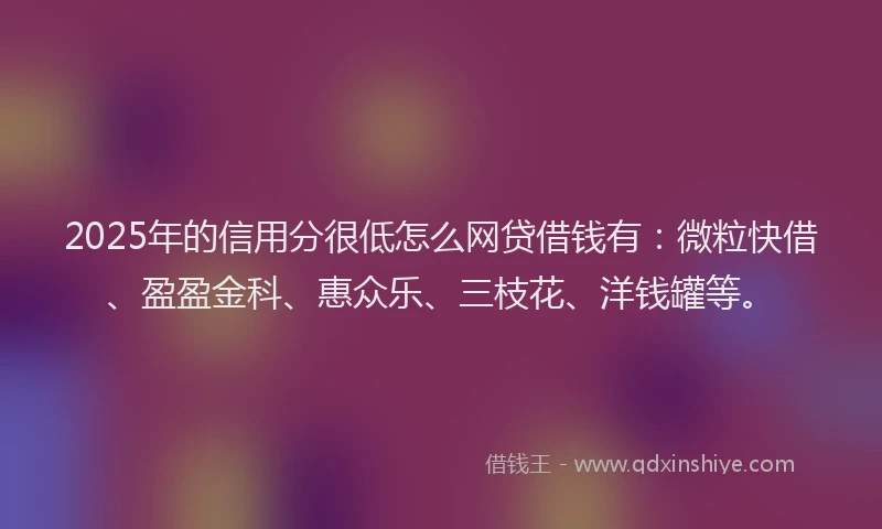 2025年的信用分很低怎么网贷借钱有：微粒快借、盈盈金科、惠众乐、三枝花、洋钱罐等。