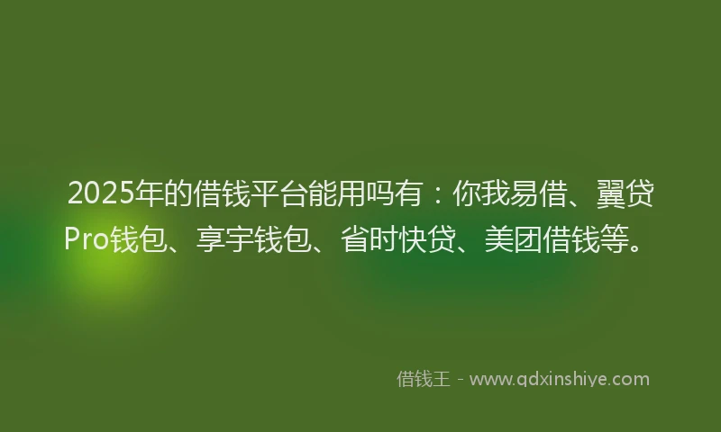 2025年的借钱平台能用吗有：你我易借、翼贷Pro钱包、享宇钱包、省时快贷、美团借钱等。