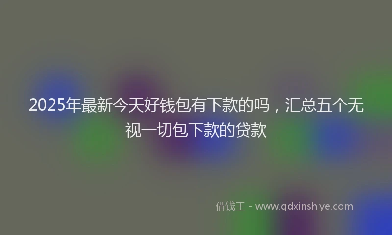 2025年最新今天好钱包有下款的吗，汇总五个无视一切包下款的贷款