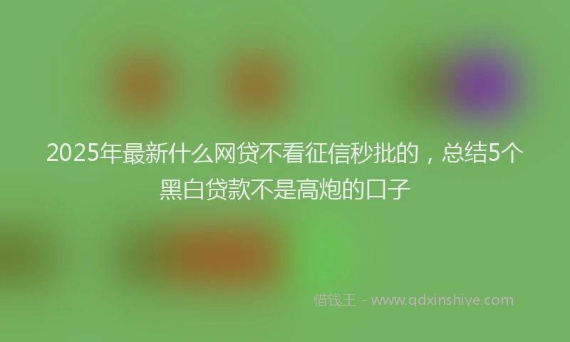 2025年最新什么网贷不看征信秒批的，总结5个黑白贷款不是高炮的口子