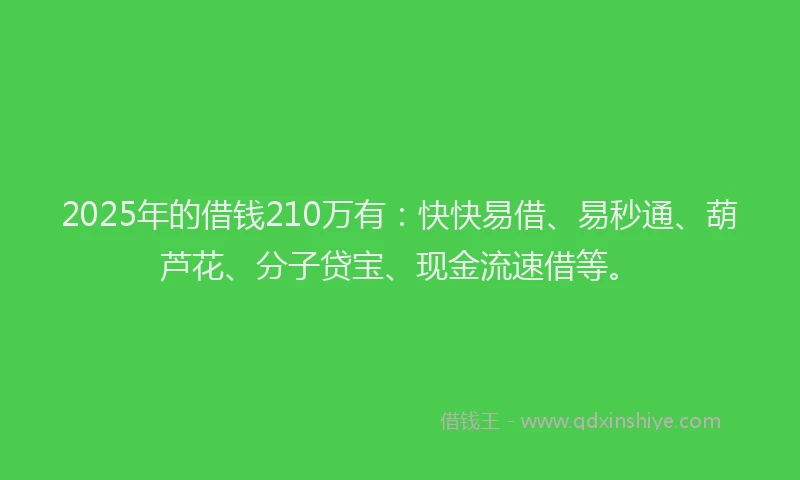 2025年的借钱210万有：快快易借、易秒通、葫芦花、分子贷宝、现金流速借等。