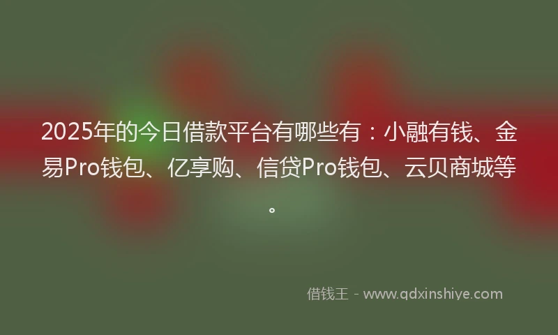 2025年的今日借款平台有哪些有：小融有钱、金易Pro钱包、亿享购、信贷Pro钱包、云贝商城等。