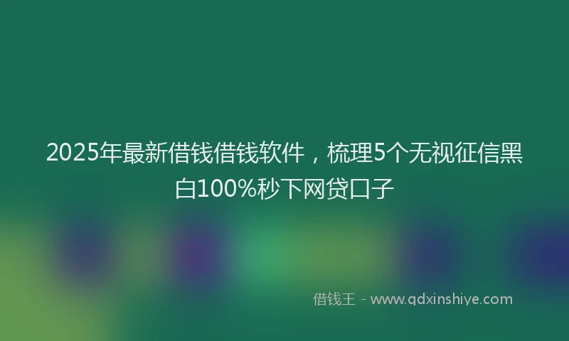 2025年最新借钱借钱软件，梳理5个无视征信黑白100%秒下网贷口子