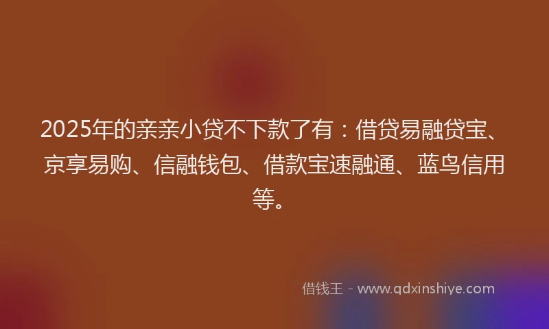 2025年的亲亲小贷不下款了有：借贷易融贷宝、京享易购、信融钱包、借款宝速融通、蓝鸟信用等。