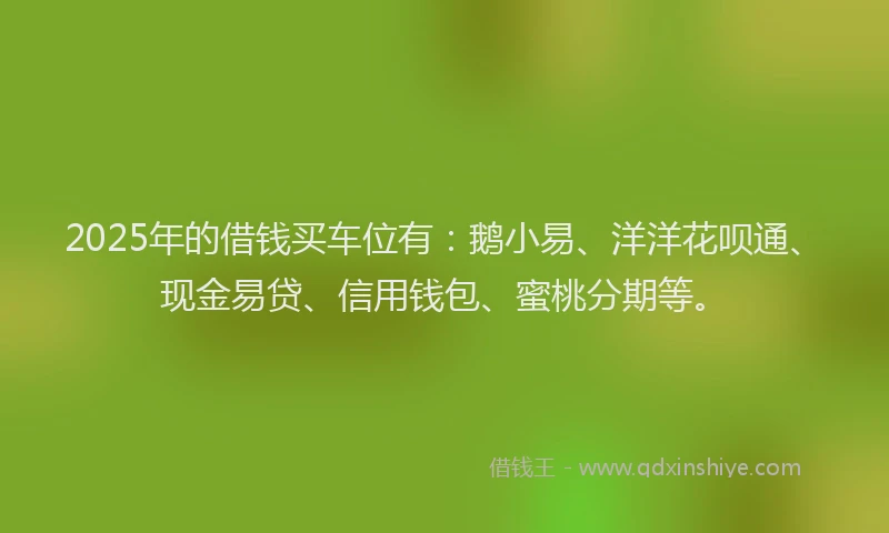 2025年的借钱买车位有：鹅小易、洋洋花呗通、现金易贷、信用钱包、蜜桃分期等。