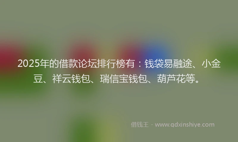 2025年的借款论坛排行榜有：钱袋易融途、小金豆、祥云钱包、瑞信宝钱包、葫芦花等。