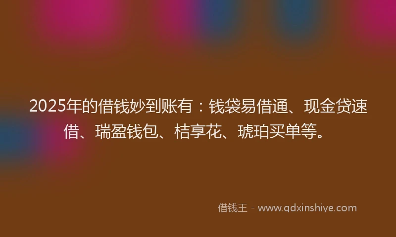 2025年的借钱妙到账有：钱袋易借通、现金贷速借、瑞盈钱包、桔享花、琥珀买单等。