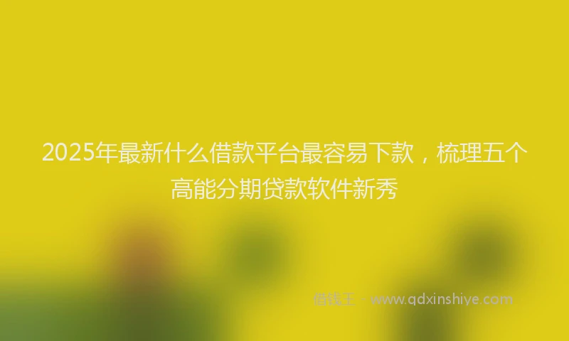 2025年最新什么借款平台最容易下款，梳理五个高能分期贷款软件新秀
