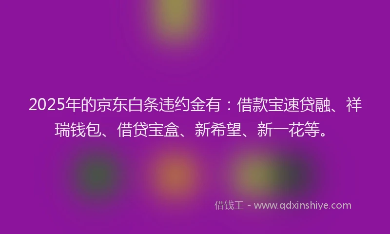 2025年的京东白条违约金有：借款宝速贷融、祥瑞钱包、借贷宝盒、新希望、新一花等。