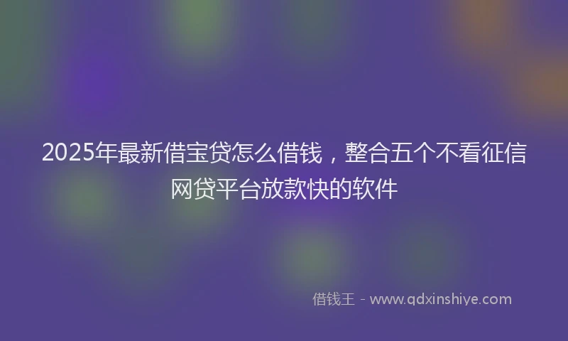 2025年最新借宝贷怎么借钱，整合五个不看征信网贷平台放款快的软件