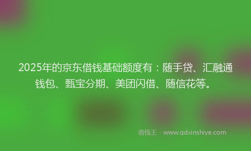 2025年的京东借钱基础额度有：随手贷、汇融通钱包、甄宝分期、美团闪借、随信花等。