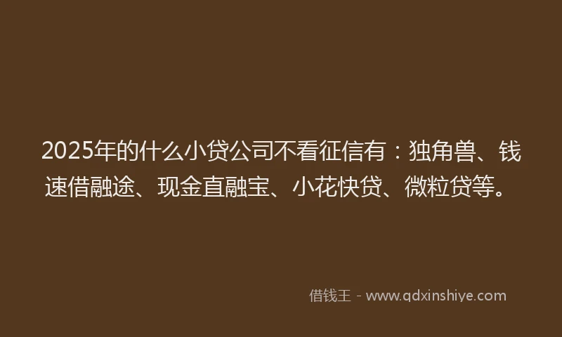 2025年的什么小贷公司不看征信有：独角兽、钱速借融途、现金直融宝、小花快贷、微粒贷等。