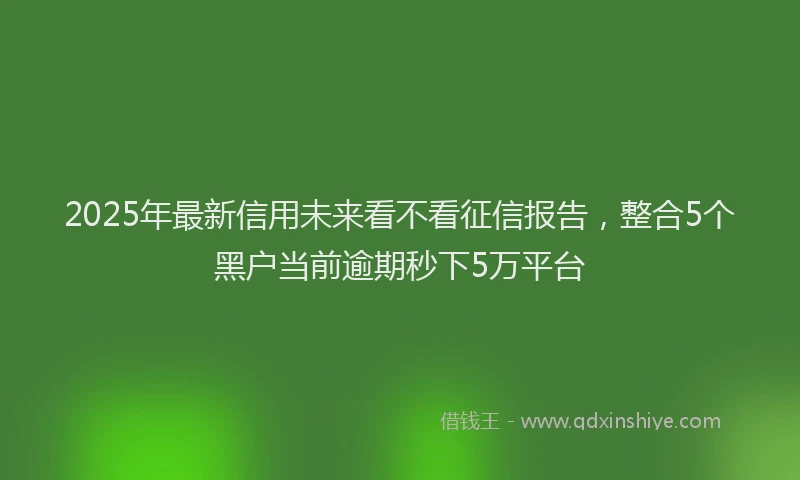 2025年最新信用未来看不看征信报告，整合5个黑户当前逾期秒下5万平台
