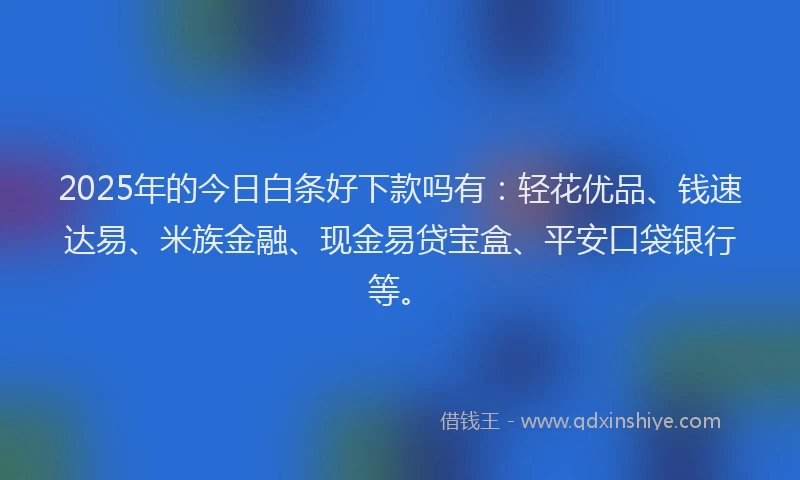 2025年的今日白条好下款吗有：轻花优品、钱速达易、米族金融、现金易贷宝盒、平安口袋银行等。