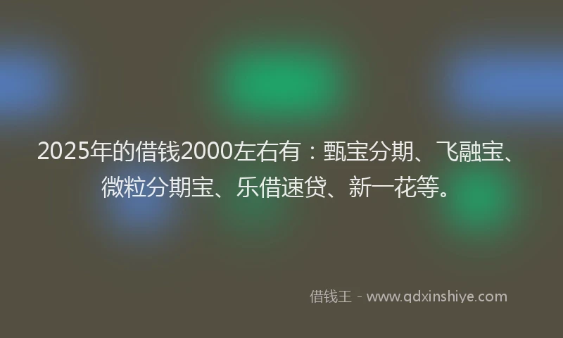 2025年的借钱2000左右有：甄宝分期、飞融宝、微粒分期宝、乐借速贷、新一花等。