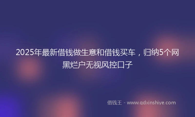 2025年最新借钱做生意和借钱买车，归纳5个网黑烂户无视风控口子