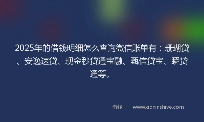 2025年的借钱明细怎么查询微信账单有：珊瑚贷、安逸速贷、现金秒贷通宝融、甄信贷宝、瞬贷通等。