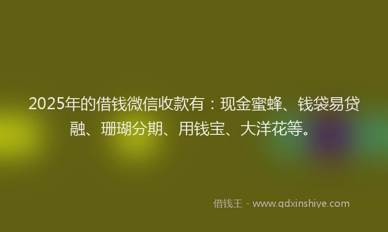 2025年的借钱微信收款有：现金蜜蜂、钱袋易贷融、珊瑚分期、用钱宝、大洋花等。