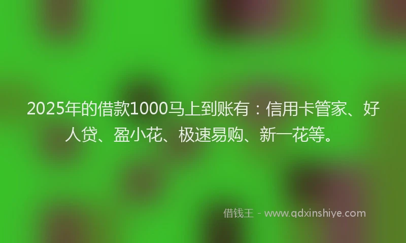 2025年的借款1000马上到账有：信用卡管家、好人贷、盈小花、极速易购、新一花等。