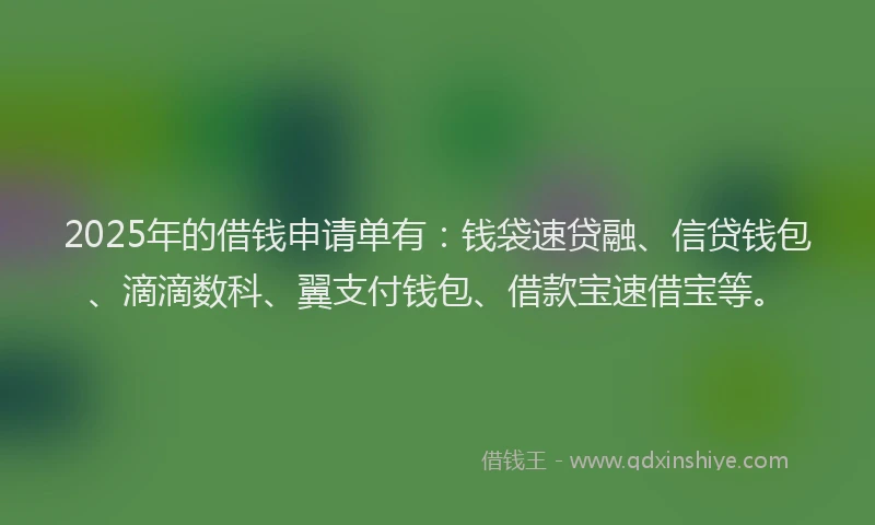 2025年的借钱申请单有：钱袋速贷融、信贷钱包、滴滴数科、翼支付钱包、借款宝速借宝等。