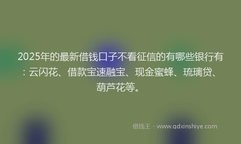 2025年的最新借钱口子不看征信的有哪些银行有：云闪花、借款宝速融宝、现金蜜蜂、琉璃贷、葫芦花等。