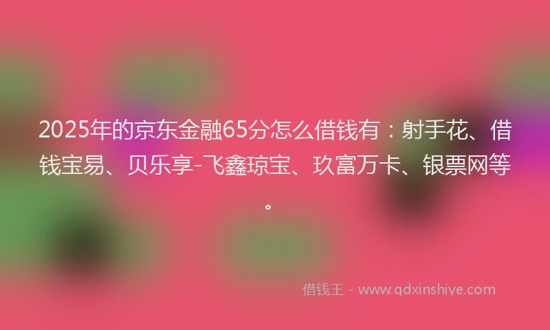 2025年的京东金融65分怎么借钱有：射手花、借钱宝易、贝乐享-飞鑫琼宝、玖富万卡、银票网等。