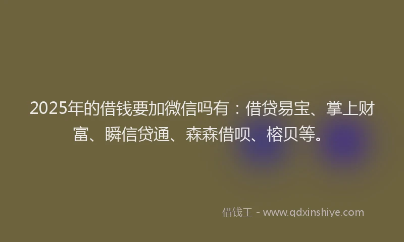 2025年的借钱要加微信吗有：借贷易宝、掌上财富、瞬信贷通、森森借呗、榕贝等。