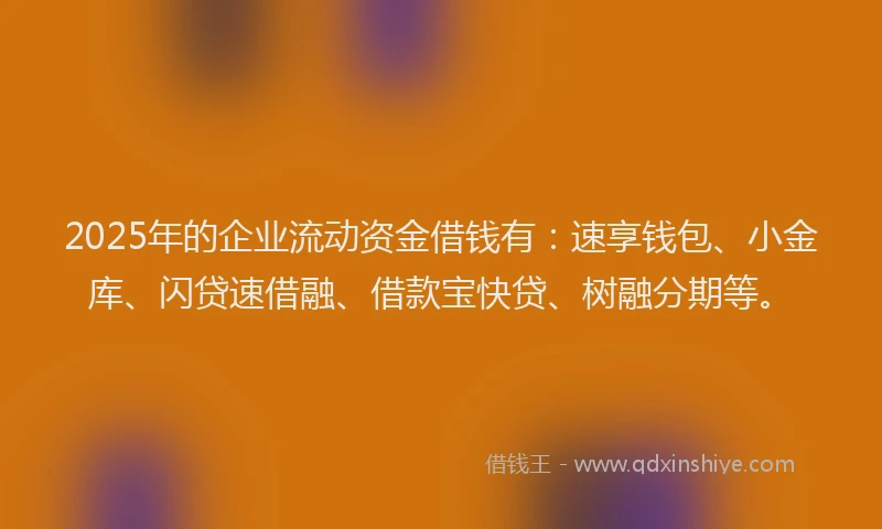 2025年的企业流动资金借钱有：速享钱包、小金库、闪贷速借融、借款宝快贷、树融分期等。
