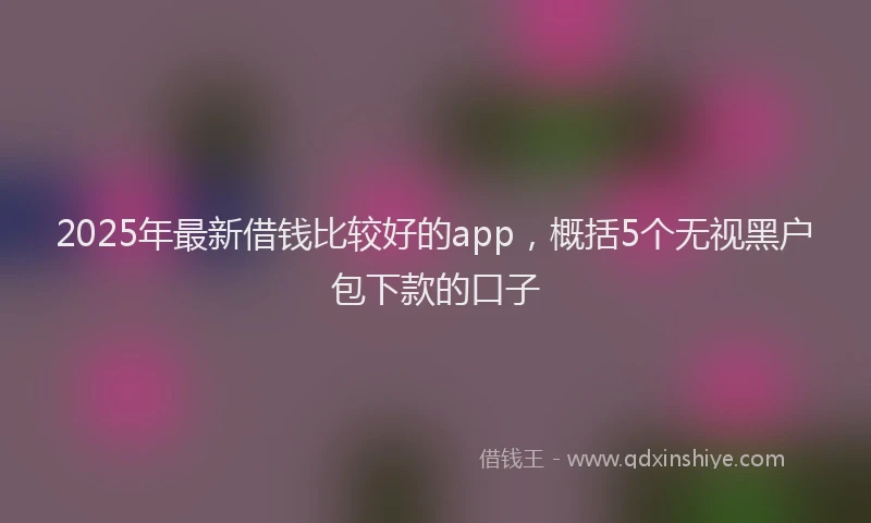2025年最新借钱比较好的app，概括5个无视黑户包下款的口子