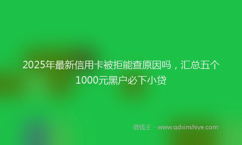 2025年最新信用卡被拒能查原因吗，汇总五个1000元黑户必下小贷
