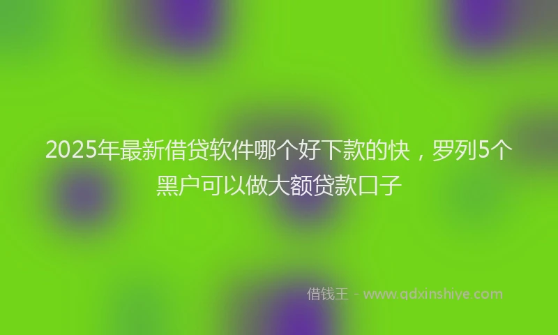 2025年最新借贷软件哪个好下款的快，罗列5个黑户可以做大额贷款口子