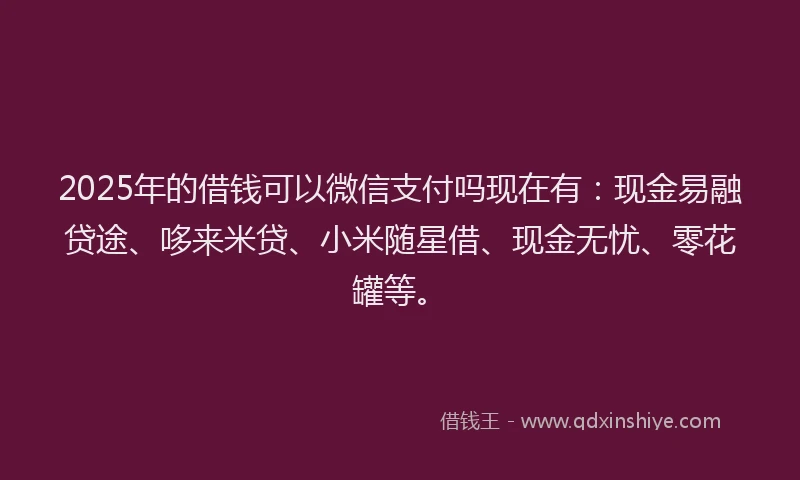 2025年的借钱可以微信支付吗现在有：现金易融贷途、哆来米贷、小米随星借、现金无忧、零花罐等。