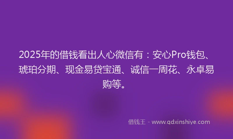 2025年的借钱看出人心微信有：安心Pro钱包、琥珀分期、现金易贷宝通、诚信一周花、永卓易购等。
