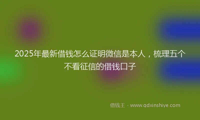 2025年最新借钱怎么证明微信是本人，梳理五个不看征信的借钱口子