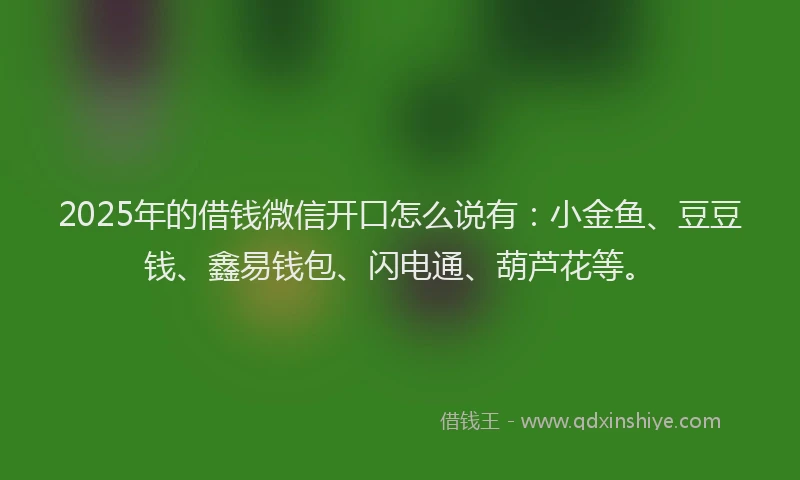 2025年的借钱微信开口怎么说有：小金鱼、豆豆钱、鑫易钱包、闪电通、葫芦花等。