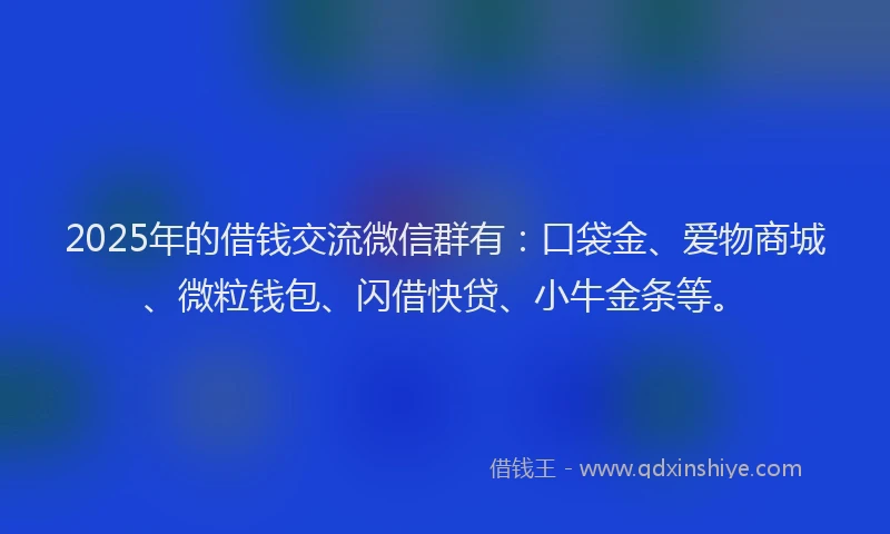 2025年的借钱交流微信群有：口袋金、爱物商城、微粒钱包、闪借快贷、小牛金条等。