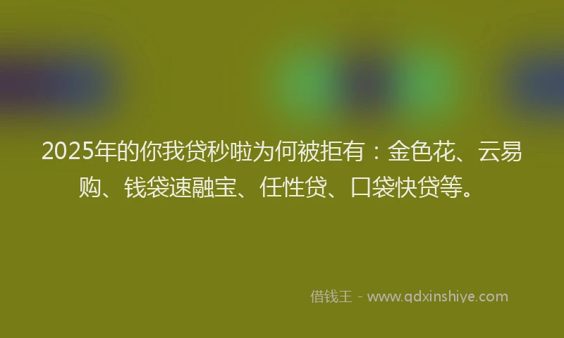 2025年的你我贷秒啦为何被拒有：金色花、云易购、钱袋速融宝、任性贷、口袋快贷等。