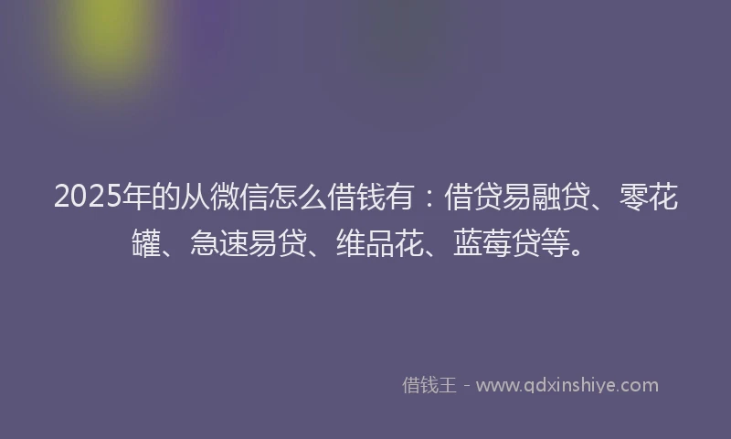 2025年的从微信怎么借钱有：借贷易融贷、零花罐、急速易贷、维品花、蓝莓贷等。