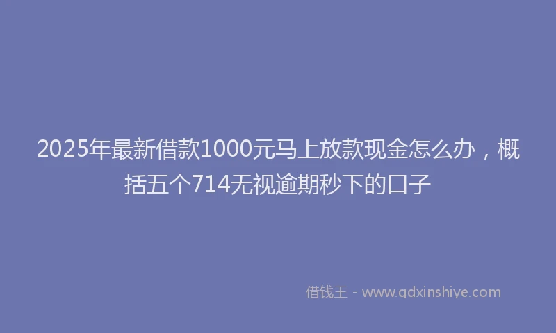 2025年最新借款1000元马上放款现金怎么办，概括五个714无视逾期秒下的口子