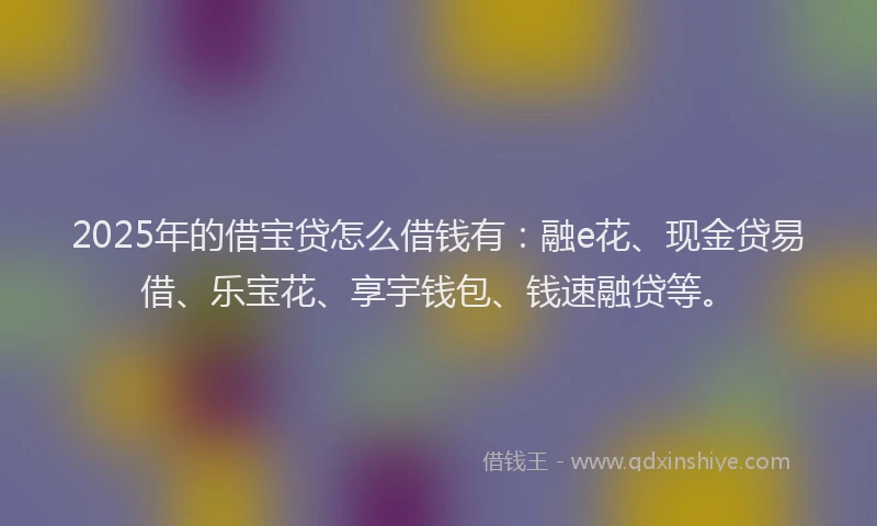 2025年的借宝贷怎么借钱有：融e花、现金贷易借、乐宝花、享宇钱包、钱速融贷等。