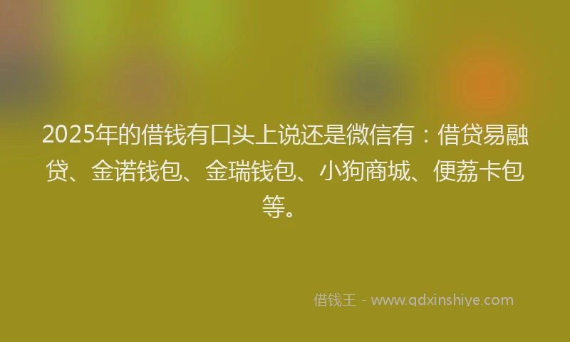 2025年的借钱有口头上说还是微信有：借贷易融贷、金诺钱包、金瑞钱包、小狗商城、便荔卡包等。