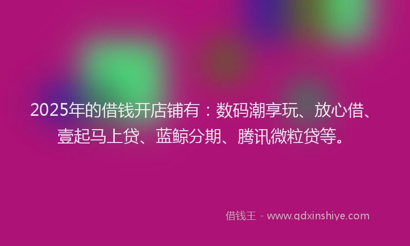 2025年的借钱开店铺有：数码潮享玩、放心借、壹起马上贷、蓝鲸分期、腾讯微粒贷等。