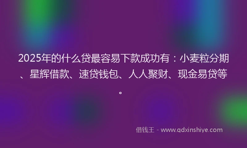 2025年的什么贷最容易下款成功有：小麦粒分期、星辉借款、速贷钱包、人人聚财、现金易贷等。