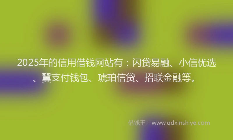 2025年的信用借钱网站有：闪贷易融、小信优选、翼支付钱包、琥珀信贷、招联金融等。