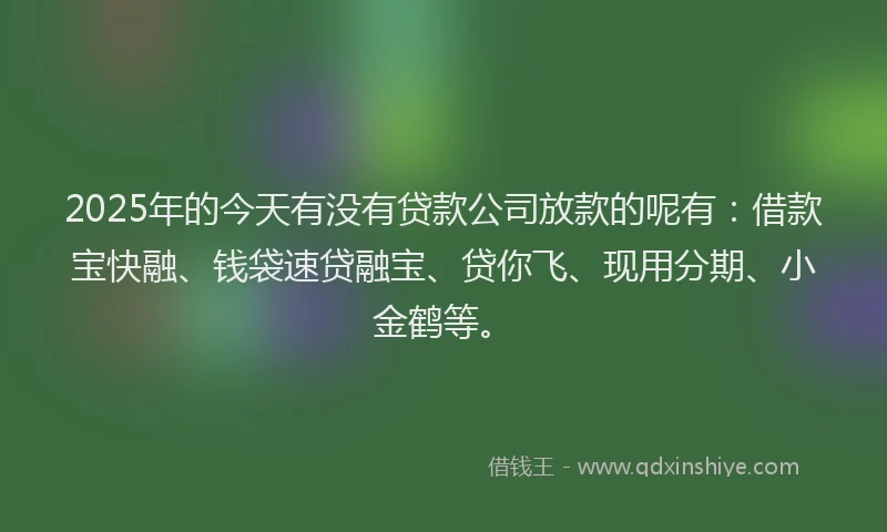 2025年的今天有没有贷款公司放款的呢有：借款宝快融、钱袋速贷融宝、贷你飞、现用分期、小金鹤等。