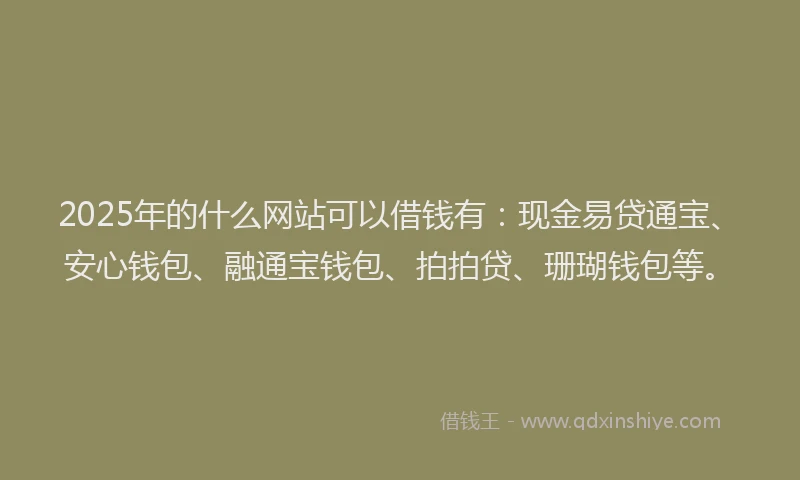 2025年的什么网站可以借钱有：现金易贷通宝、安心钱包、融通宝钱包、拍拍贷、珊瑚钱包等。
