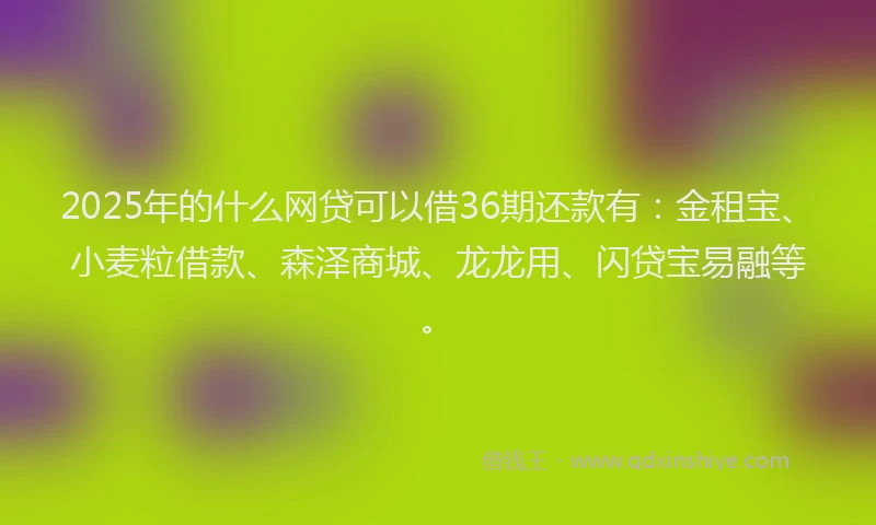 2025年的什么网贷可以借36期还款有：金租宝、小麦粒借款、森泽商城、龙龙用、闪贷宝易融等。