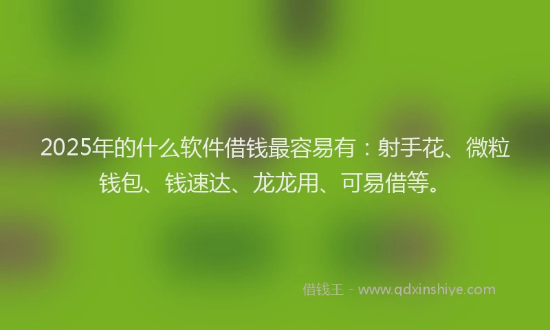 2025年的什么软件借钱最容易有：射手花、微粒钱包、钱速达、龙龙用、可易借等。