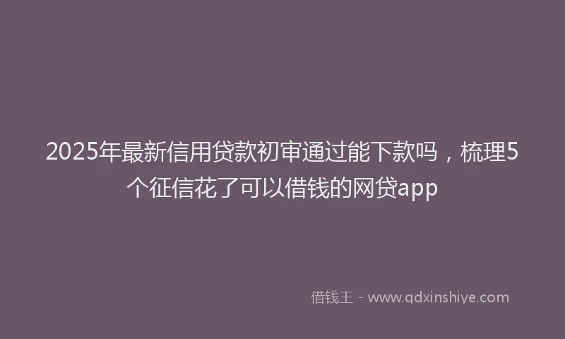2025年最新信用贷款初审通过能下款吗，梳理5个征信花了可以借钱的网贷app